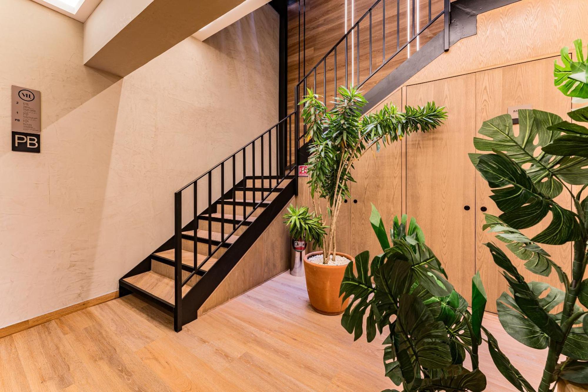 The Boutique Suites 187 By Vh Mexico City Ngoại thất bức ảnh